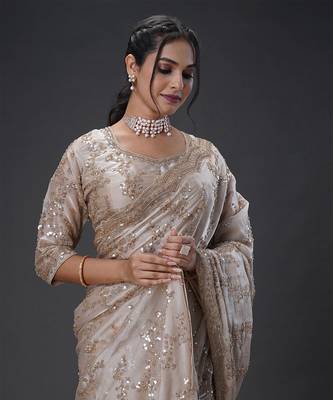 Light Brown beads tissue organza saree 3