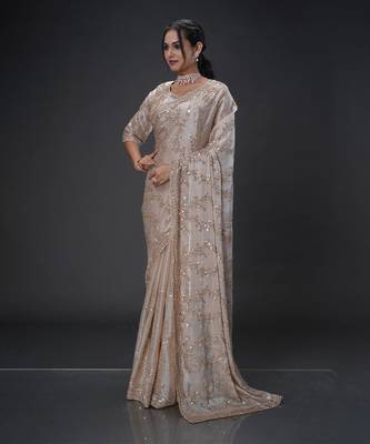 Light Brown beads tissue organza saree 4