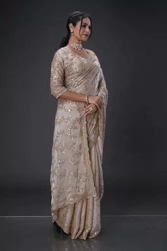 Light Brown beads tissue organza saree