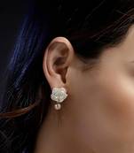 Roshni-e-chandni drop earring