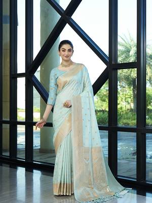 Aqua nylon faux banarasi wevon jacquard ethnic indian traditional look saree 1
