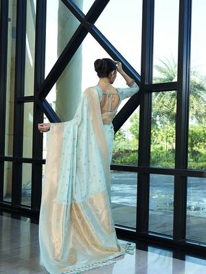 Aqua nylon faux banarasi wevon jacquard ethnic indian traditional look saree 2