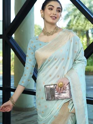 Aqua nylon faux banarasi wevon jacquard ethnic indian traditional look saree 3