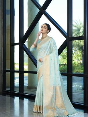Aqua nylon faux banarasi wevon jacquard ethnic indian traditional look saree 4
