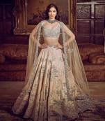 Beige Tissue Embroidered Lehenga with Net Dupatta