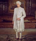 The wild masai sherwani