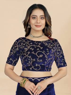 Navy-Blue Colour Velvet Embroidery Border Work Saree 4