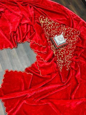 Red Colour Velvet Embroidery Border Work Saree 5