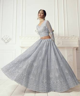 Grey Embroidered Net Lehenga Choli 2