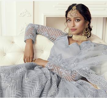 Grey Embroidered Net Lehenga Choli 3