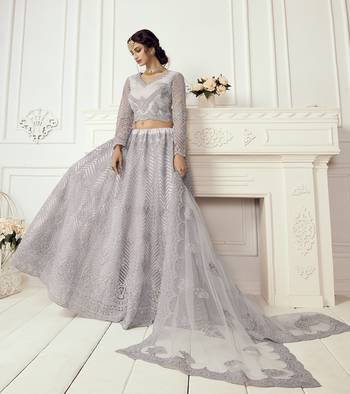Light Lavender Embroidered Net Lehenga Choli 2
