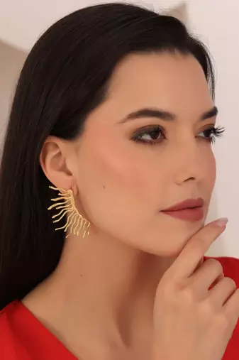 Fierce statement earrings