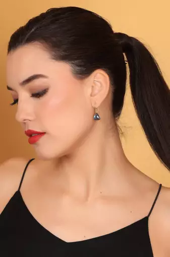 Labradorite dangler earrings