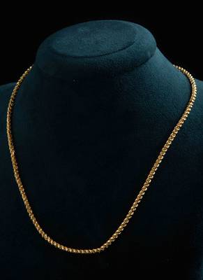 Gold-Plated Long Chain 2
