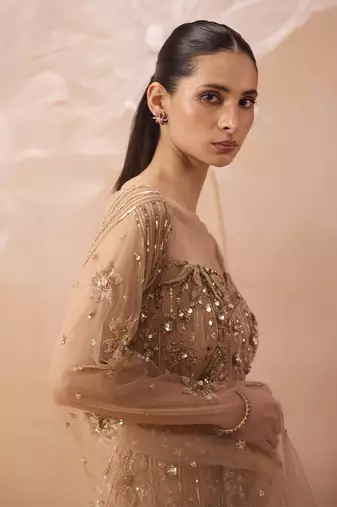 Gleaming gown