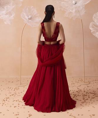 Scalet Dream Lehenga Set 4