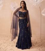 Stardust Lehenga Set