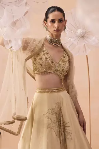 Sarine Lehanga Set