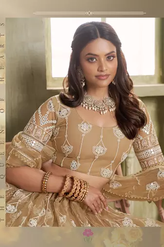 Light Brown Heavy Embroidery Net Semi Stitch A Line Lehenga With Blouse