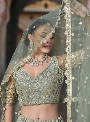 Olive Net Fabric Stone Work Lehenga Choli Set 4