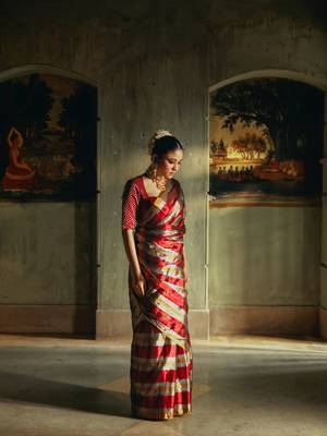 Huts and looms multicolour striped handloom tissue saree 1