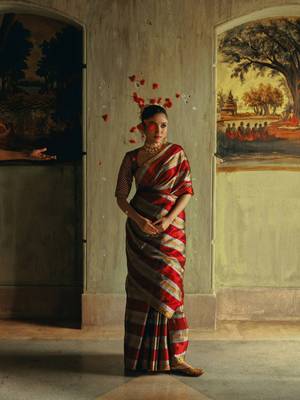 Huts and looms multicolour striped handloom tissue saree 3