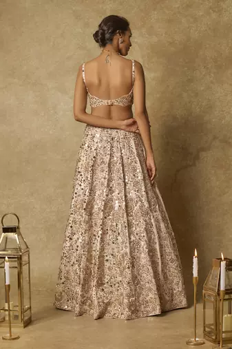 Beige Heavy Embroidered Lehenga Set