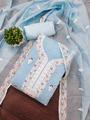 Women's sky blue embrodiered work with 2