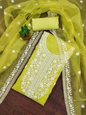 Women's light green heavy thread embrodiery organza dress material 2