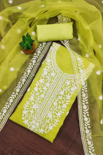 Women's light green heavy thread embrodiery organza dress material