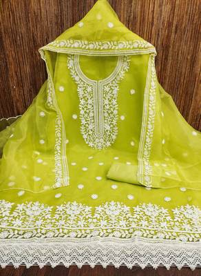 Women's light green heavy thread embrodiery organza dress material 3