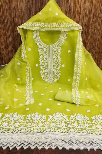 Women's light green heavy thread embrodiery organza dress material
