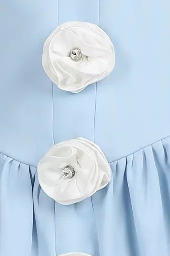 Ice blue dress with 3d flowers