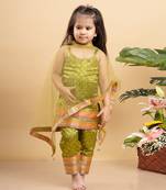 Elegant olive green brocade set with vibrant woven borders, perfect for festive celebrations