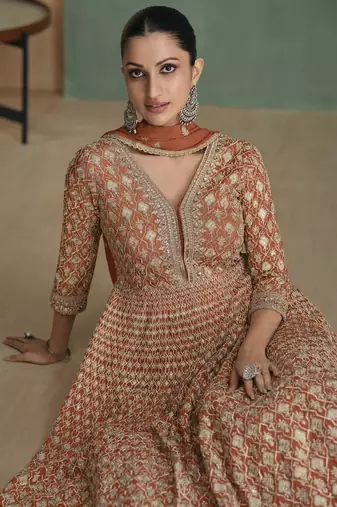 Light brown georgette embroidered anarkali suit