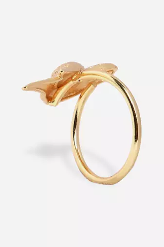 Shahi ring