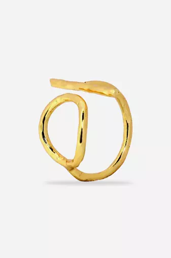 Jashan-e-bahar ring