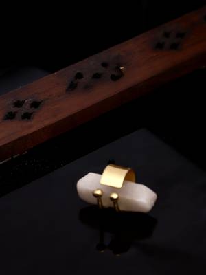 Shikra ring 2