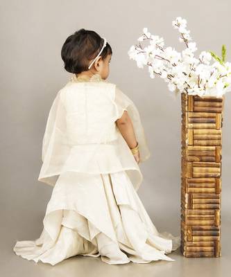 Fawn embroidered blouse with cape with ghagara set 2
