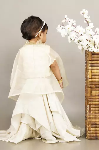 Fawn embroidered blouse with cape with ghagara set