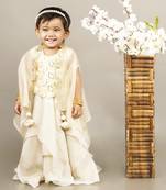 Fawn embroidered blouse with cape with ghagara set