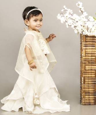Fawn embroidered blouse with cape with ghagara set 4