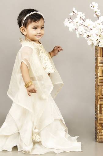 Fawn embroidered blouse with cape with ghagara set