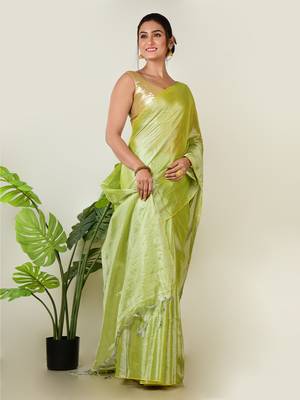 Aakar pastel green handloom tissue saree 1