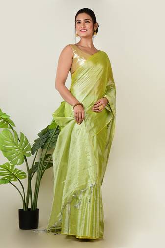 Aakar pastel green handloom tissue saree