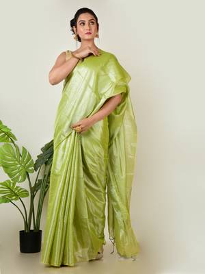 Aakar pastel green handloom tissue saree 2