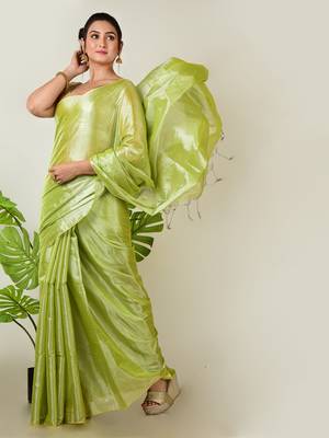 Aakar pastel green handloom tissue saree 3