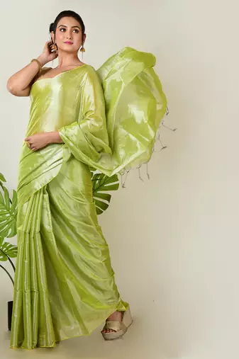 Aakar pastel green handloom tissue saree