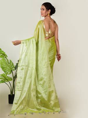 Aakar pastel green handloom tissue saree 4