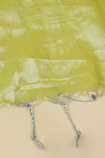 Aakar pastel green handloom tissue saree